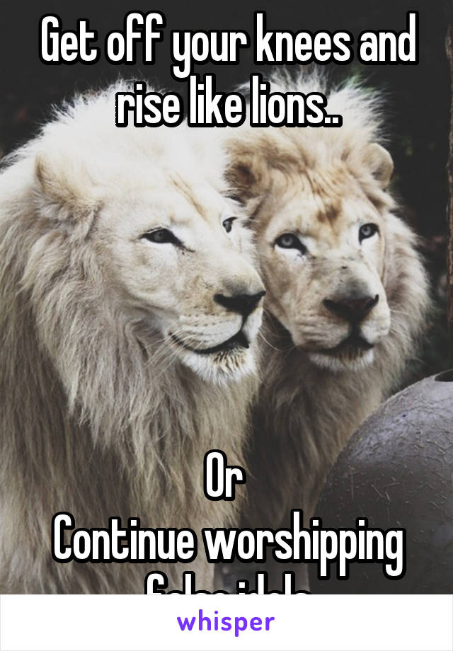 Get off your knees and rise like lions..





Or 
Continue worshipping false idols