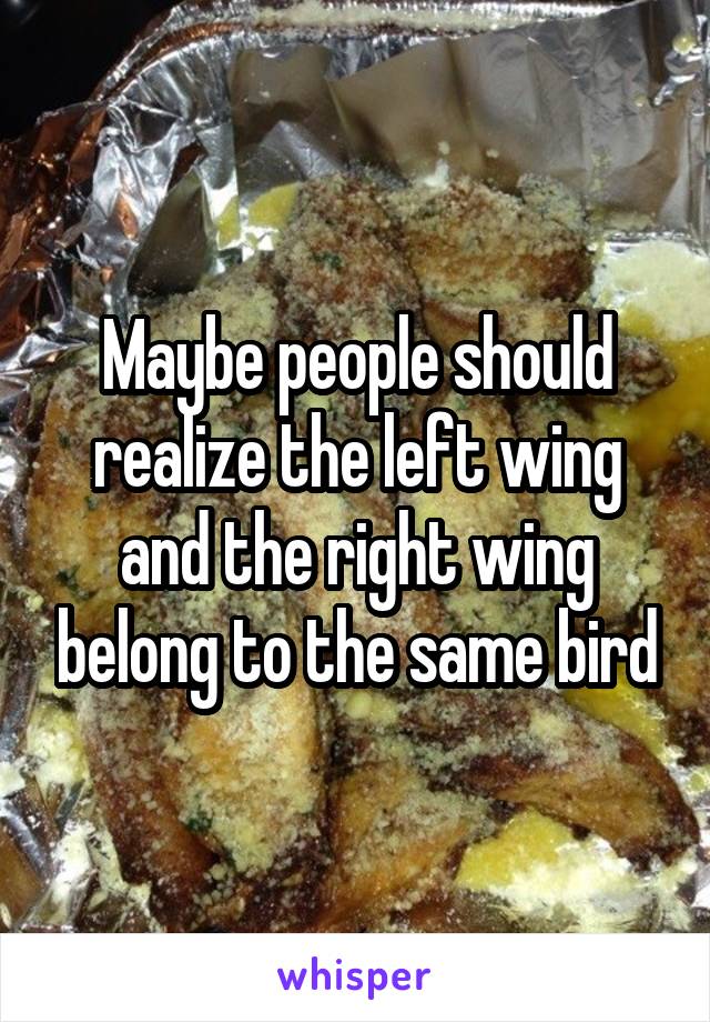 Maybe people should realize the left wing and the right wing belong to the same bird