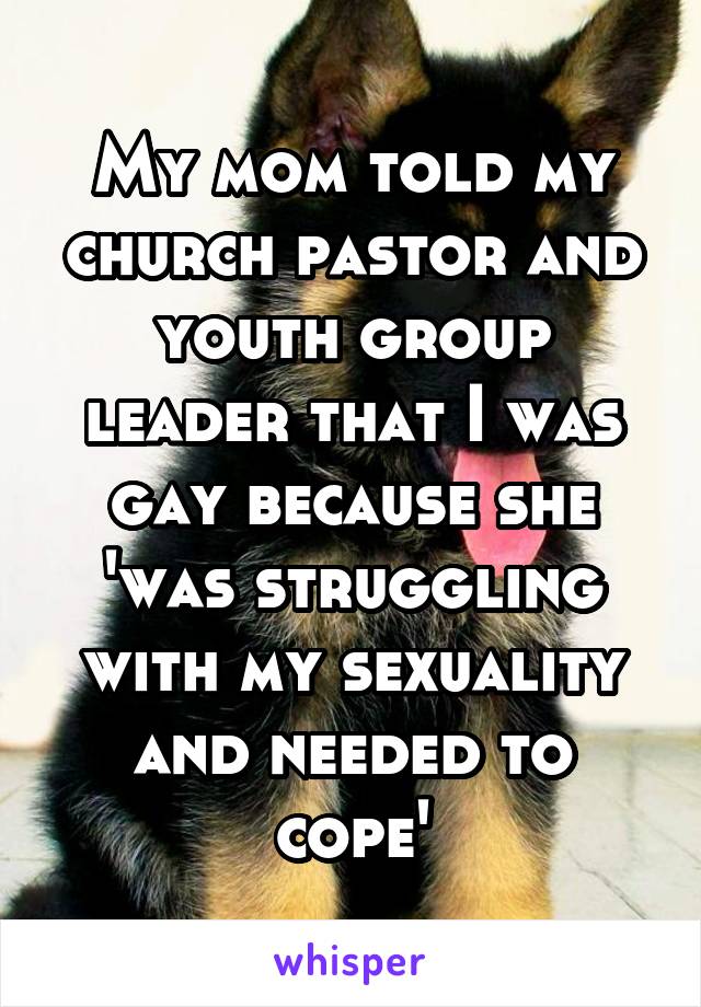 My mom told my church pastor and youth group leader that I was gay because she 'was struggling with my sexuality and needed to cope'