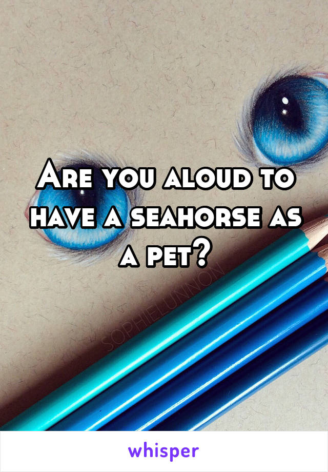 Are you aloud to have a seahorse as a pet?
