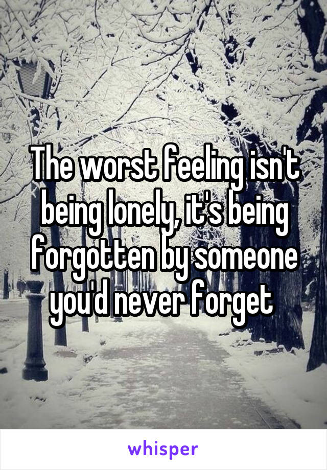 The worst feeling isn't being lonely, it's being forgotten by someone you'd never forget 