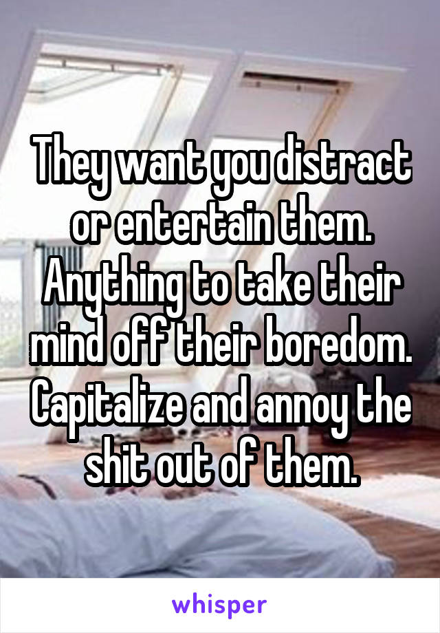 They want you distract or entertain them. Anything to take their mind off their boredom. Capitalize and annoy the shit out of them.