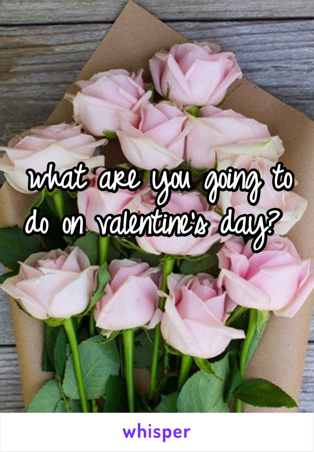 what are you going to do on valentine's day? 
