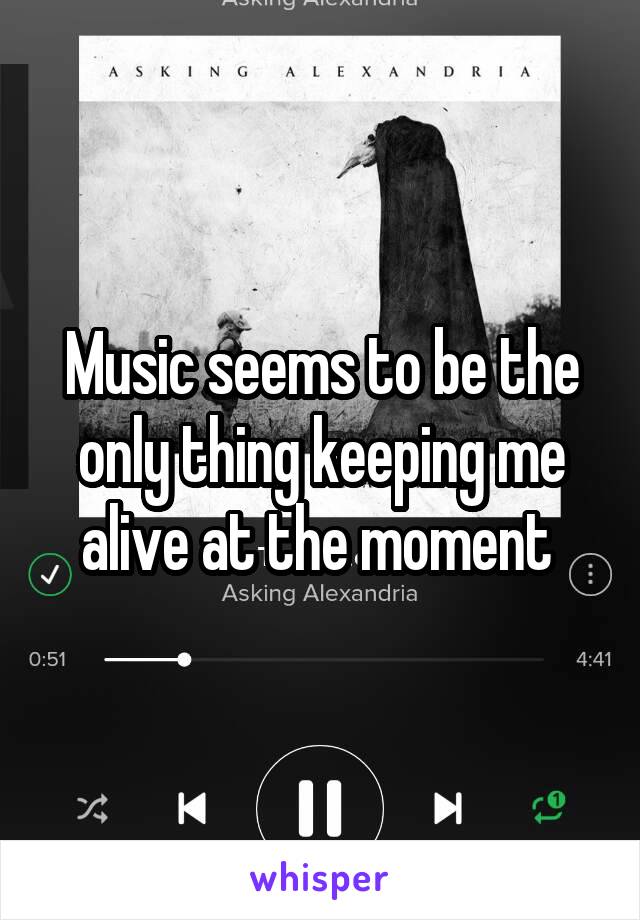 Music seems to be the only thing keeping me alive at the moment 