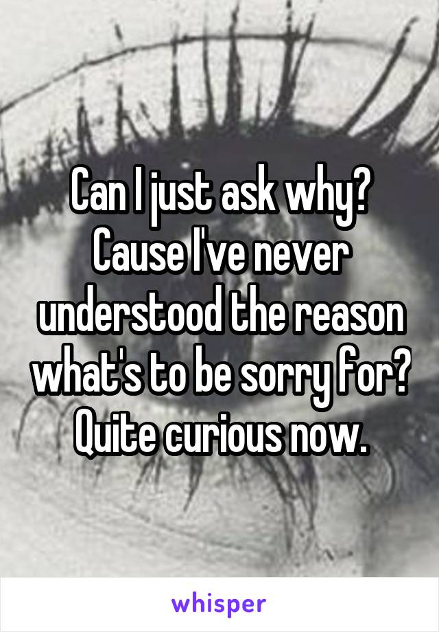 Can I just ask why? Cause I've never understood the reason what's to be sorry for? Quite curious now.