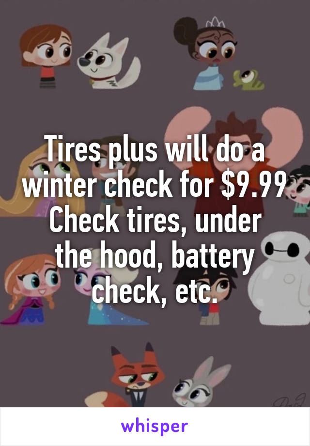 Tires plus will do a winter check for $9.99
Check tires, under the hood, battery check, etc.
