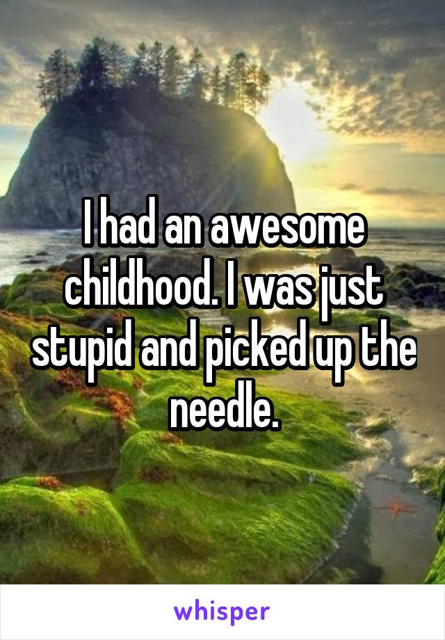 I had an awesome childhood. I was just stupid and picked up the needle.
