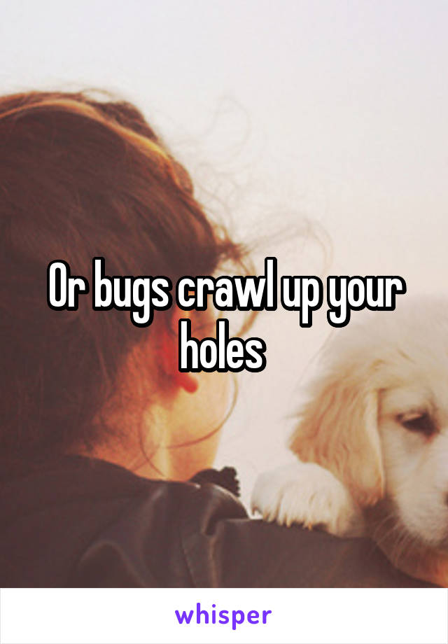 Or bugs crawl up your holes 