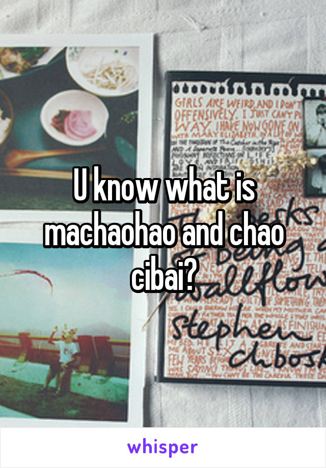 U know what is machaohao and chao cibai?