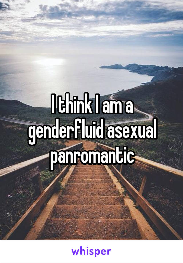 I think I am a genderfluid asexual panromantic