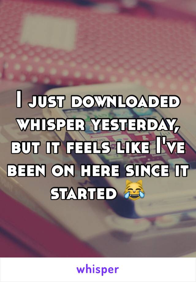 I just downloaded whisper yesterday, but it feels like I've been on here since it started 😹