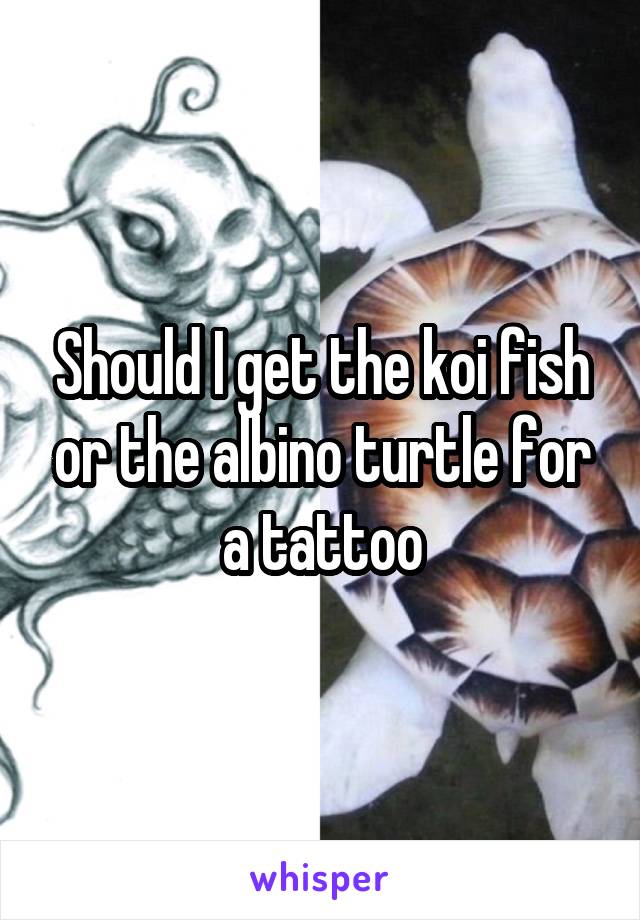Should I get the koi fish or the albino turtle for a tattoo