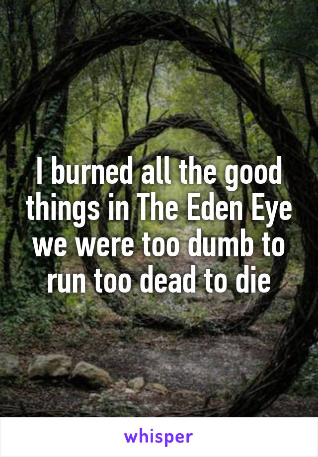 I burned all the good things in The Eden Eye
we were too dumb to run too dead to die