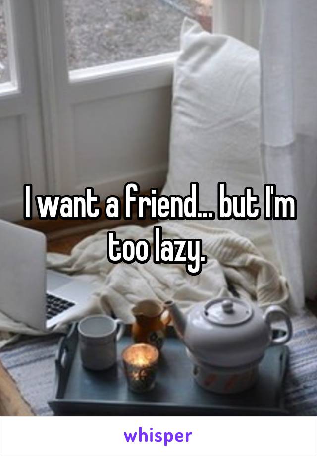 I want a friend... but I'm too lazy. 