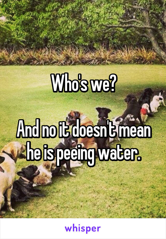 Who's we?

And no it doesn't mean he is peeing water.