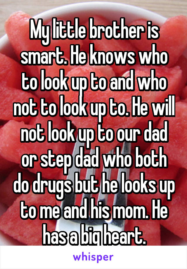 My little brother is smart. He knows who to look up to and who not to look up to. He will not look up to our dad or step dad who both do drugs but he looks up to me and his mom. He has a big heart.