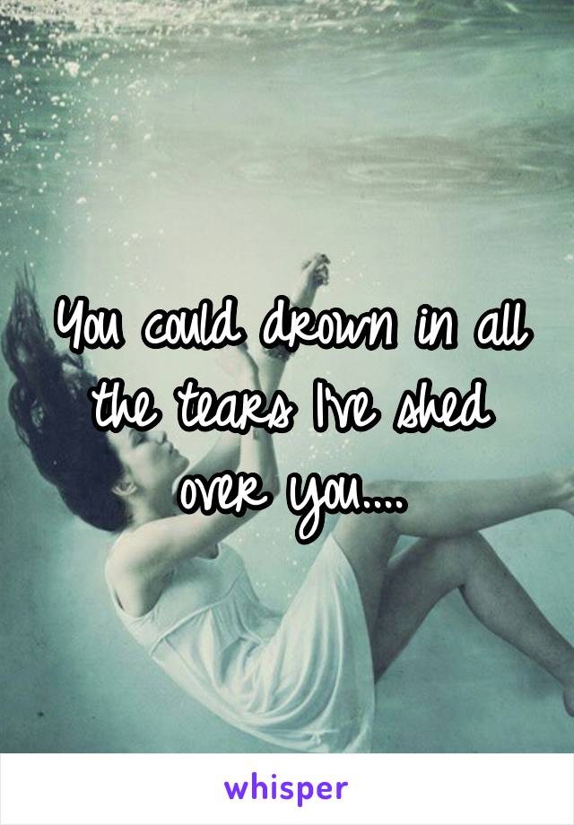 You could drown in all the tears I've shed over you....