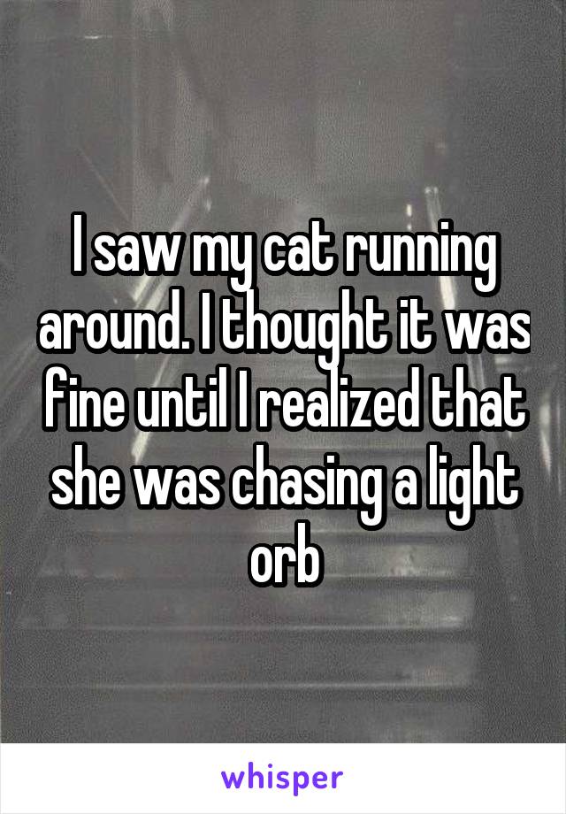 I saw my cat running around. I thought it was fine until I realized that she was chasing a light orb