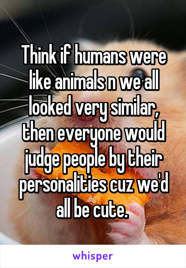 Think if humans were like animals n we all looked very similar, then everyone would judge people by their personalities cuz we'd all be cute. 