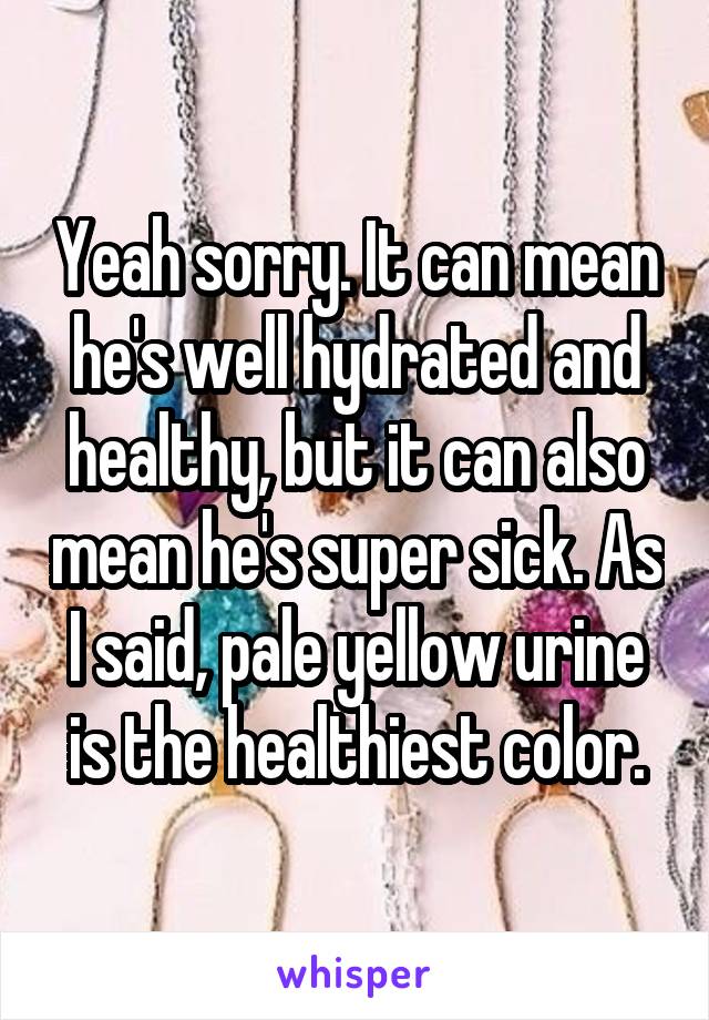 Yeah sorry. It can mean he's well hydrated and healthy, but it can also mean he's super sick. As I said, pale yellow urine is the healthiest color.