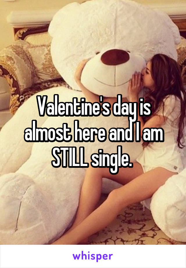 Valentine's day is almost here and I am STILL single. 