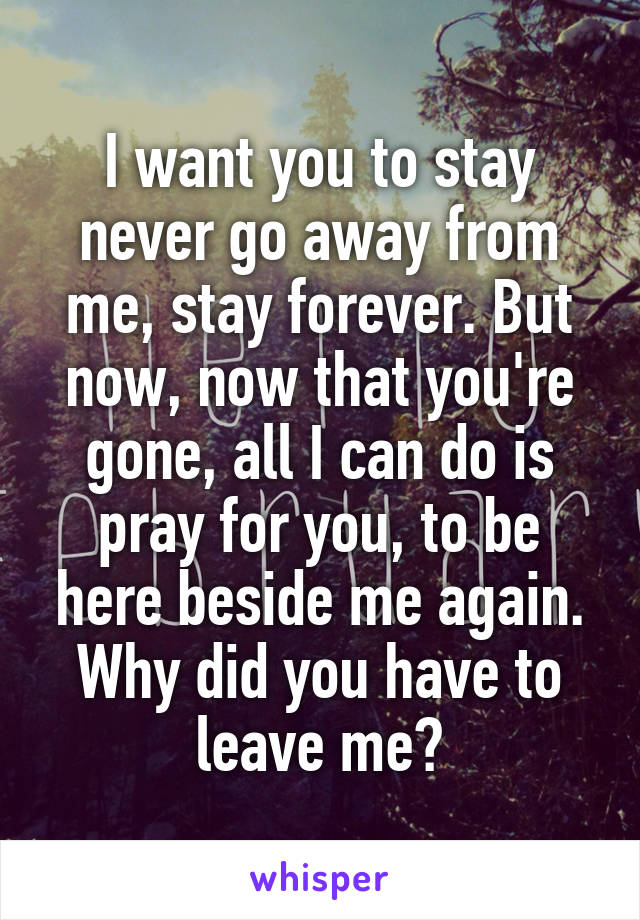 I want you to stay never go away from me, stay forever. But now, now that you're gone, all I can do is pray for you, to be here beside me again. Why did you have to leave me?