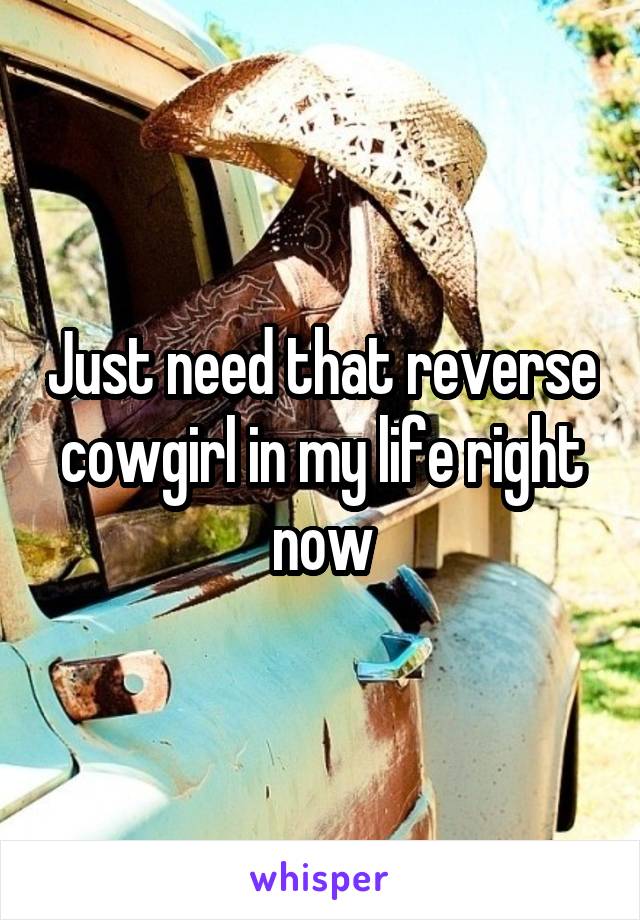 Just need that reverse cowgirl in my life right now