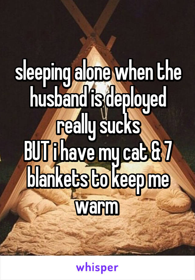 sleeping alone when the husband is deployed really sucks
BUT i have my cat & 7 blankets to keep me warm 