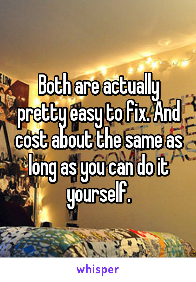 Both are actually pretty easy to fix. And cost about the same as long as you can do it yourself.