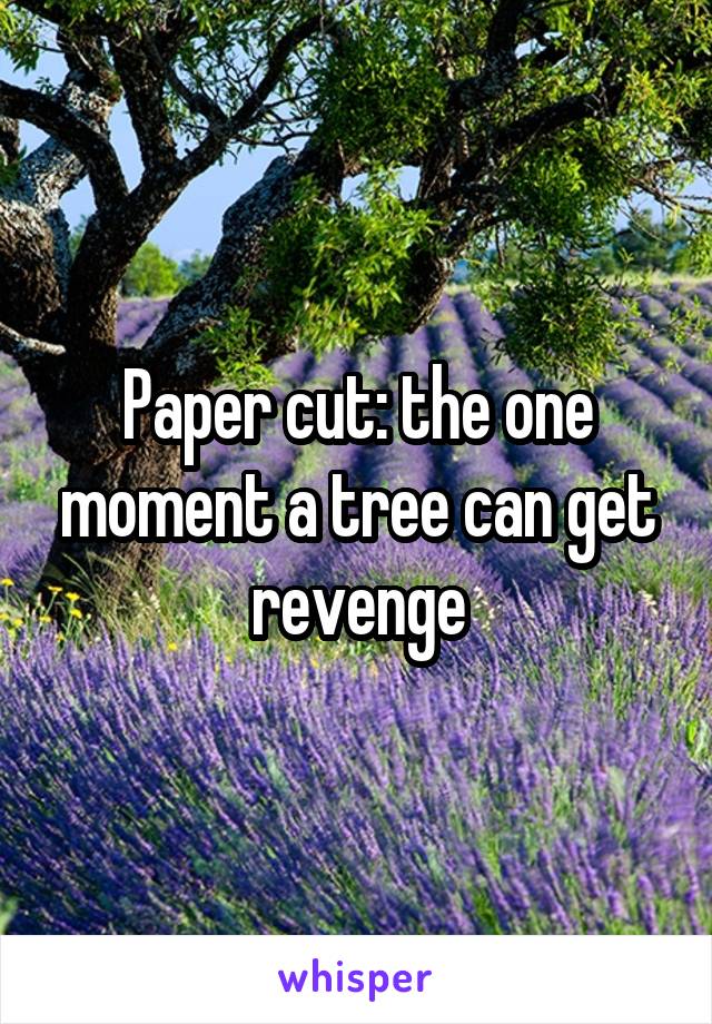 Paper cut: the one moment a tree can get revenge
