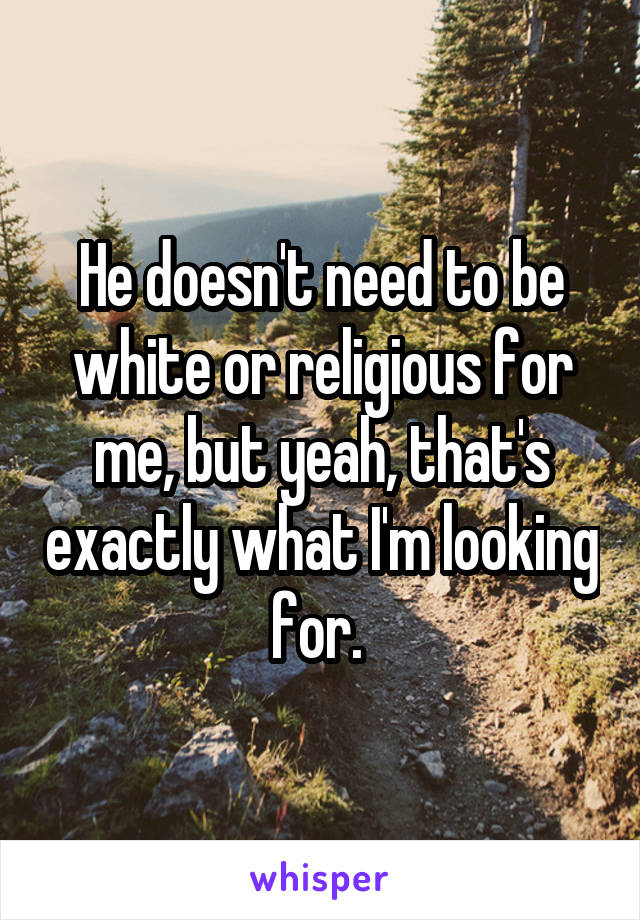 He doesn't need to be white or religious for me, but yeah, that's exactly what I'm looking for. 