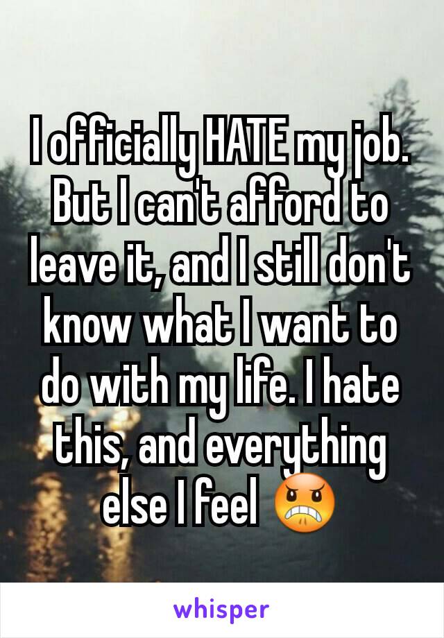 I officially HATE my job.
But I can't afford to leave it, and I still don't know what I want to do with my life. I hate this, and everything else I feel 😠