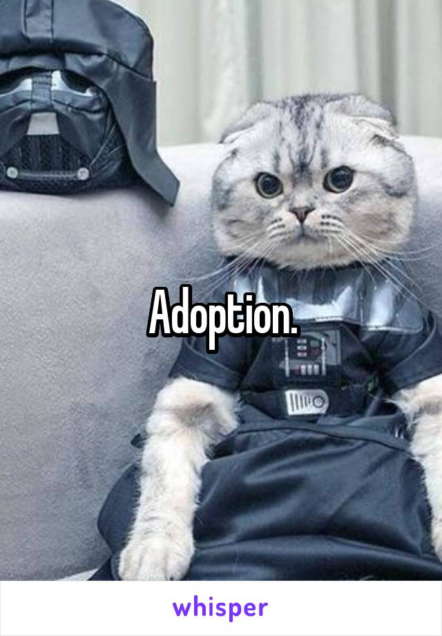 Adoption.