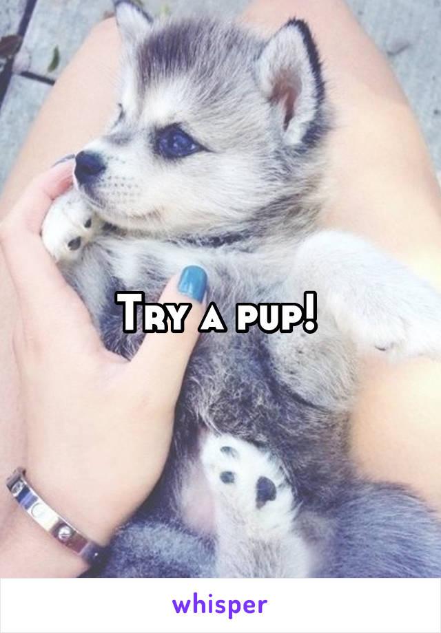 Try a pup! 