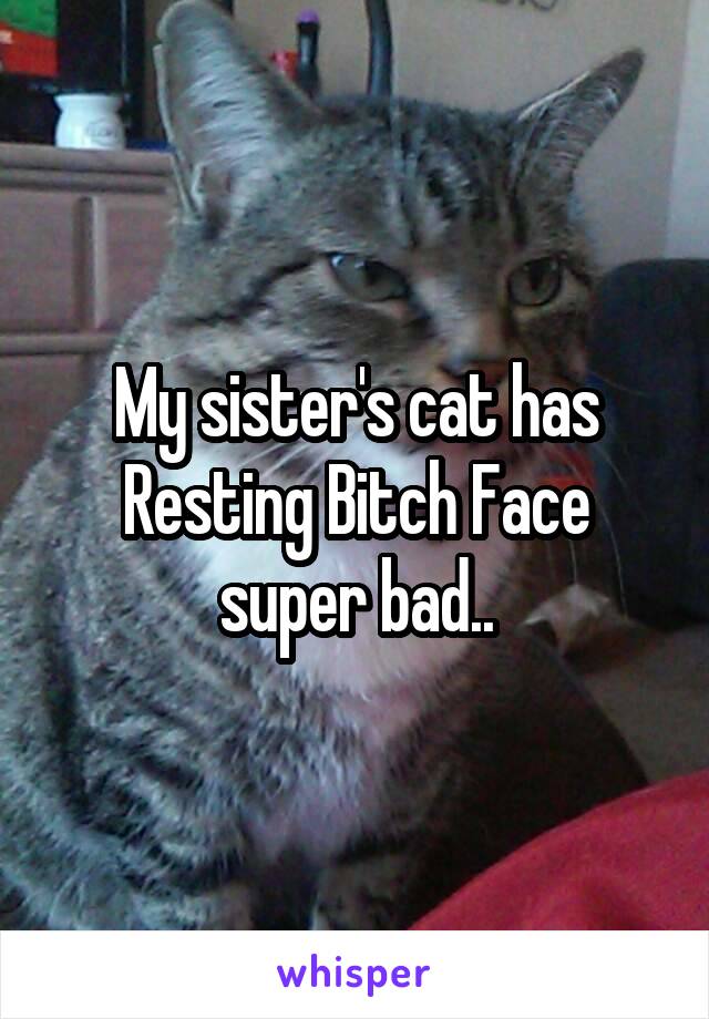 My sister's cat has Resting Bitch Face super bad..