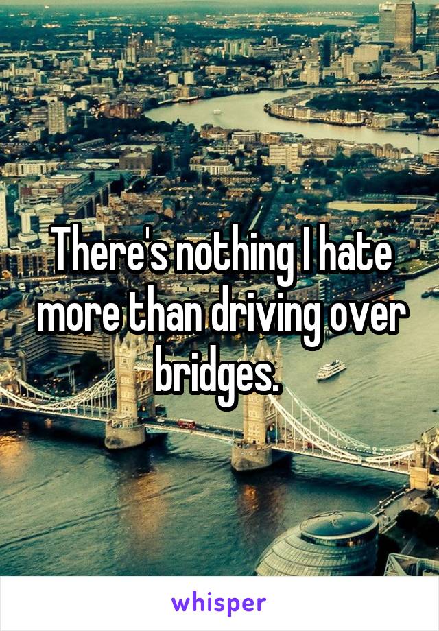 There's nothing I hate more than driving over bridges. 