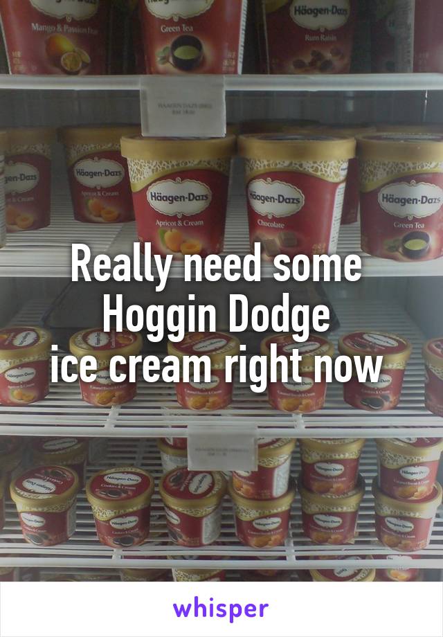 Really need some 
Hoggin Dodge 
ice cream right now 