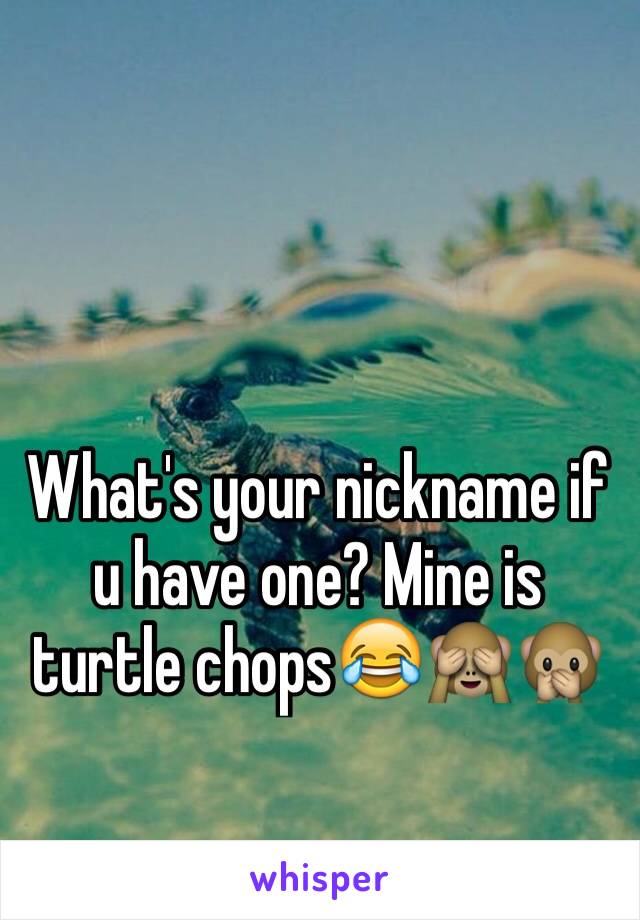 What's your nickname if u have one? Mine is turtle chops😂🙈🙊