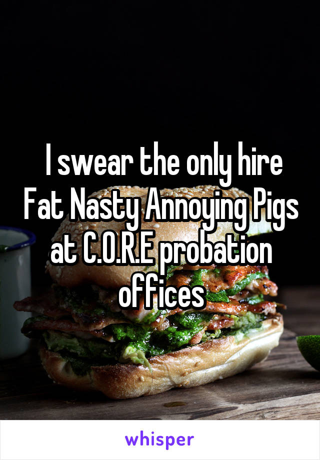  I swear the only hire Fat Nasty Annoying Pigs at C.O.R.E probation offices