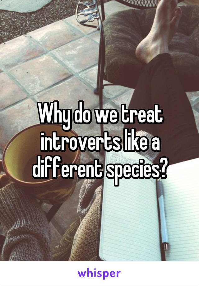Why do we treat introverts like a different species?