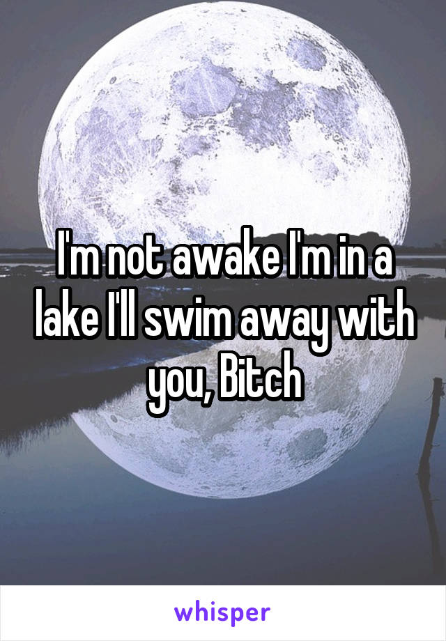 I'm not awake I'm in a lake I'll swim away with you, Bitch