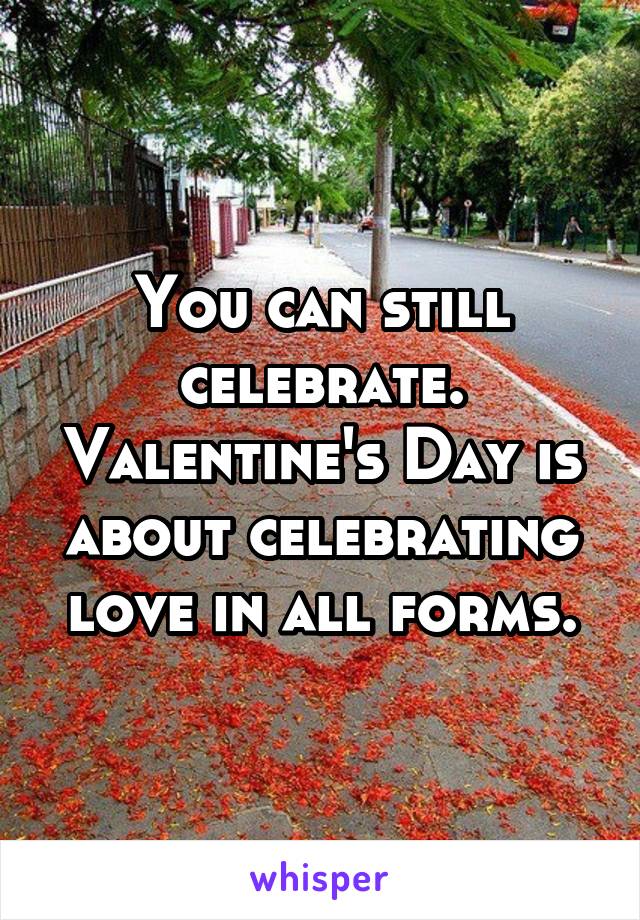You can still celebrate. Valentine's Day is about celebrating love in all forms.