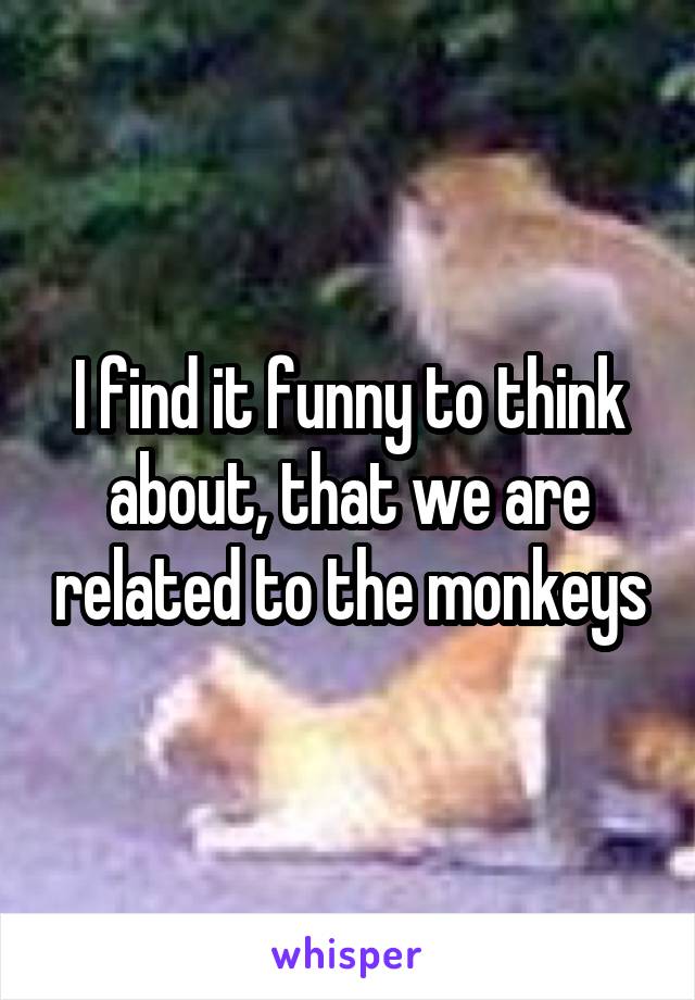 I find it funny to think about, that we are related to the monkeys