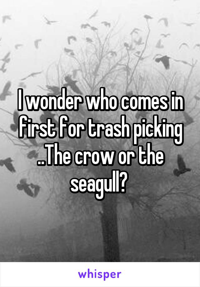 I wonder who comes in first for trash picking ..The crow or the seagull? 