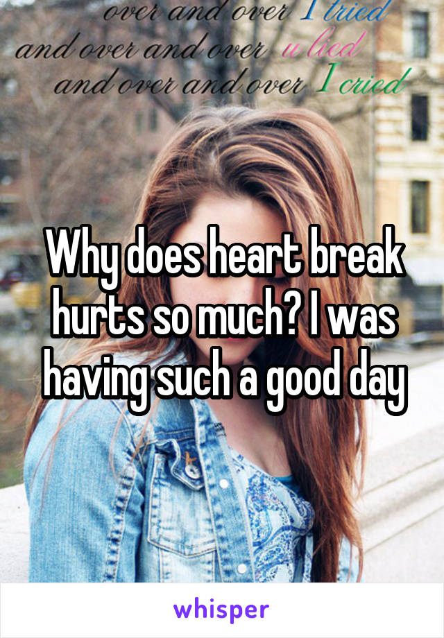 Why does heart break hurts so much? I was having such a good day