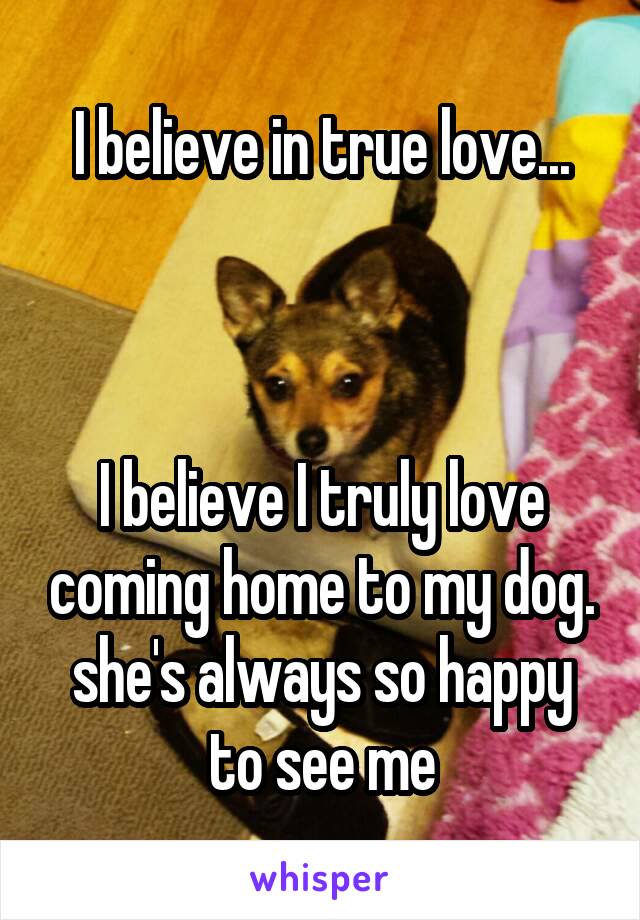 I believe in true love...



I believe I truly love coming home to my dog.
she's always so happy to see me