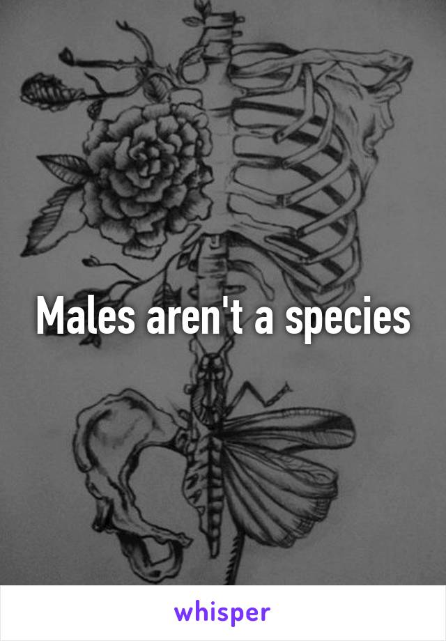 Males aren't a species