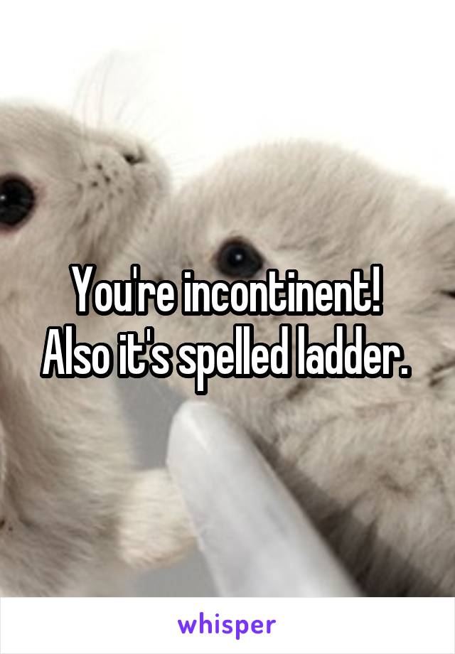 You're incontinent! 
Also it's spelled ladder. 
