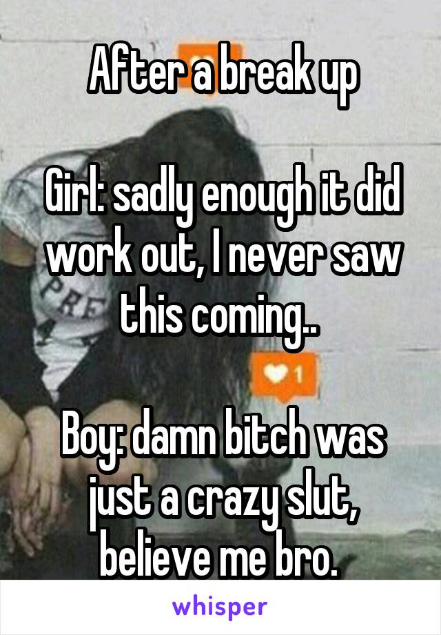 After a break up

Girl: sadly enough it did work out, I never saw this coming.. 

Boy: damn bitch was just a crazy slut, believe me bro. 