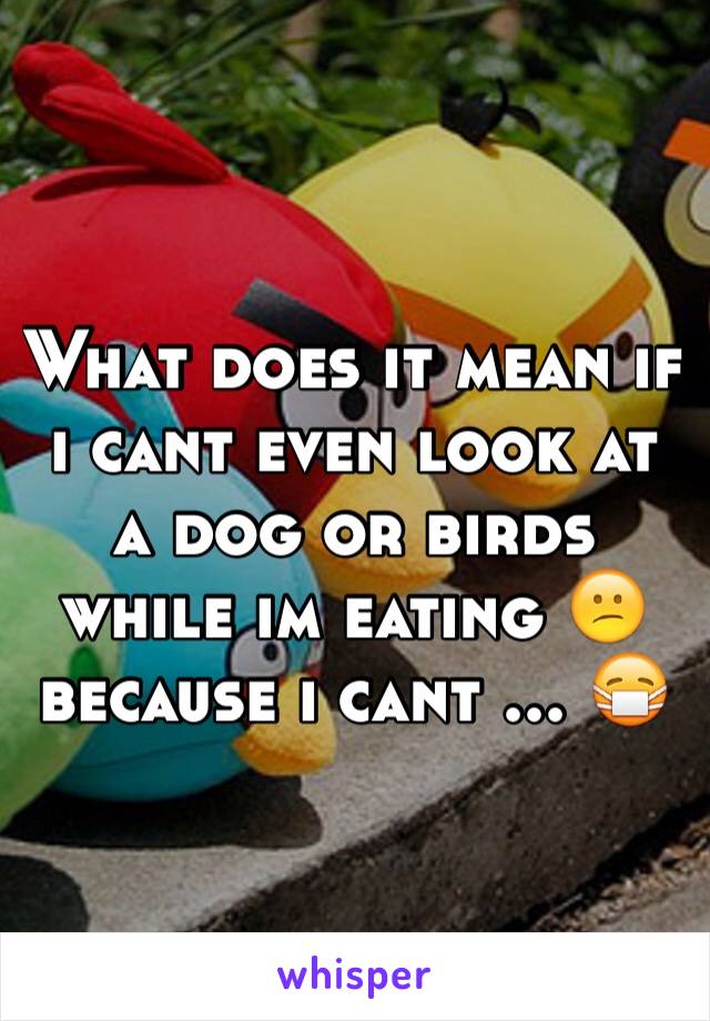 What does it mean if i cant even look at a dog or birds while im eating 😕 because i cant ... 😷 